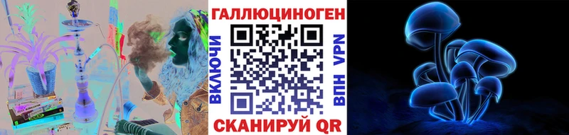 Галлюциногенные грибы Psilocybe  Тюмень 